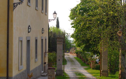 Tenuta Il Tresto: Arbre, Ville, Rue, Ruelle, Mur, Route, Architecture, Quartier, Maison, Bâtiment