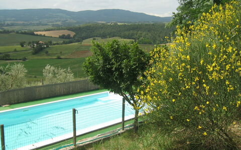 Casale Biancospino: Paysage Naturel, Jaune, Arbre, Zone Rurale, Herbe, Printemps, Prairie, Plante, Paysage, Maison