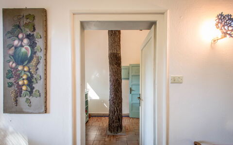 Marina Dei Ronchi Prestige: Propriété, Pièce, Mur, Porte, Maison, Design Intérieur, Domicile, Sol, Bâtiment, Arbre