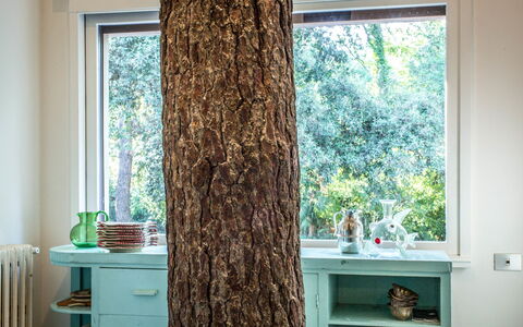 Marina Dei Ronchi Prestige: Rideau, Traitement De Fenetre, Arbre, Vert, Design Intérieur, Fenêtre, Pièce, Turquoise, Marron, Textile